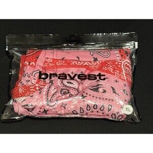 Bravest Studios Pink Paisley Mesh Shorts - Red/Pink Streetwear Size - Small